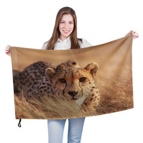Флаг 3D с принтом Гепард в Кировске, 100% полиэстер | плотность ткани — 95 г/м2, размер — 67 х 109 см. Принт наносится с одной стороны | амурский | гепард | животные | зверь | киса | кот | котенок | кошка | лев | леопард | пума | рысь | серый | тигр | тигренок | хищник