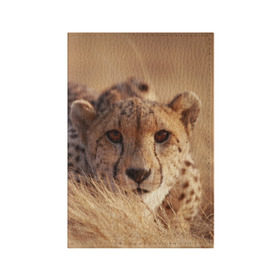 Обложка для паспорта матовая кожа с принтом Гепард в Кировске, натуральная матовая кожа | размер 19,3 х 13,7 см; прозрачные пластиковые крепления | Тематика изображения на принте: амурский | гепард | животные | зверь | киса | кот | котенок | кошка | лев | леопард | пума | рысь | серый | тигр | тигренок | хищник