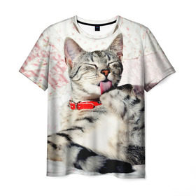 Мужская футболка 3D с принтом Кошка в Кировске, 100% полиэфир | прямой крой, круглый вырез горловины, длина до линии бедер | cat | collar | heel | licking | lying | red | striped | кошка | красный | лежит | лижет | ошейник | полосатая | пятка