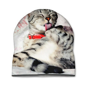 Шапка 3D с принтом Кошка в Кировске, 100% полиэстер | универсальный размер, печать по всей поверхности изделия | cat | collar | heel | licking | lying | red | striped | кошка | красный | лежит | лижет | ошейник | полосатая | пятка