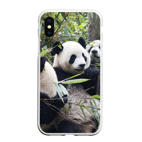 Чехол для iPhone XS Max матовый с принтом Семейка панд в Кировске, Силикон | Область печати: задняя сторона чехла, без боковых панелей | Тематика изображения на принте: бамбук | животное | зверь | косолапый | лес | медведи | медведь | миша | мишка | мишутка | млекопитающее | панда | природа | трое
