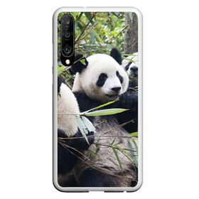 Чехол для Honor P30 с принтом Семейка панд в Кировске, Силикон | Область печати: задняя сторона чехла, без боковых панелей | Тематика изображения на принте: бамбук | животное | зверь | косолапый | лес | медведи | медведь | миша | мишка | мишутка | млекопитающее | панда | природа | трое