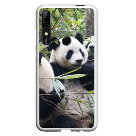 Чехол для Honor P Smart Z с принтом Семейка панд в Кировске, Силикон | Область печати: задняя сторона чехла, без боковых панелей | Тематика изображения на принте: бамбук | животное | зверь | косолапый | лес | медведи | медведь | миша | мишка | мишутка | млекопитающее | панда | природа | трое