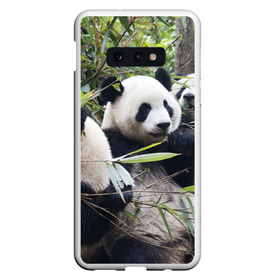 Чехол для Samsung S10E с принтом Семейка панд в Кировске, Силикон | Область печати: задняя сторона чехла, без боковых панелей | Тематика изображения на принте: бамбук | животное | зверь | косолапый | лес | медведи | медведь | миша | мишка | мишутка | млекопитающее | панда | природа | трое