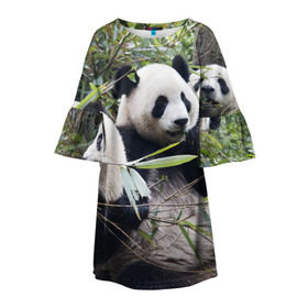 Детское платье 3D с принтом Семейка панд в Кировске, 100% полиэстер | прямой силуэт, чуть расширенный к низу. Круглая горловина, на рукавах — воланы | бамбук | животное | зверь | косолапый | лес | медведи | медведь | миша | мишка | мишутка | млекопитающее | панда | природа | трое
