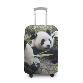Чехол для чемодана 3D с принтом Семейка панд в Кировске, 86% полиэфир, 14% спандекс | двустороннее нанесение принта, прорези для ручек и колес | бамбук | животное | зверь | косолапый | лес | медведи | медведь | миша | мишка | мишутка | млекопитающее | панда | природа | трое