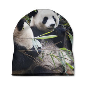 Шапка 3D с принтом Семейка панд в Кировске, 100% полиэстер | универсальный размер, печать по всей поверхности изделия | бамбук | животное | зверь | косолапый | лес | медведи | медведь | миша | мишка | мишутка | млекопитающее | панда | природа | трое