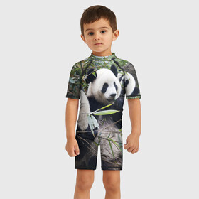 Детский купальный костюм 3D с принтом Семейка панд в Кировске, Полиэстер 85%, Спандекс 15% | застежка на молнии на спине | Тематика изображения на принте: бамбук | животное | зверь | косолапый | лес | медведи | медведь | миша | мишка | мишутка | млекопитающее | панда | природа | трое