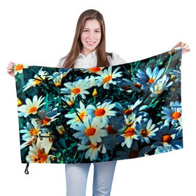 Флаг 3D с принтом Полевые ромашки в Кировске, 100% полиэстер | плотность ткани — 95 г/м2, размер — 67 х 109 см. Принт наносится с одной стороны | flower | лето | полевой цветок | цветочки | цветы