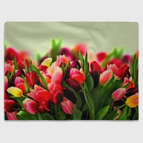 Плед 3D с принтом Букет тюльпанов в Кировске, 100% полиэстер | закругленные углы, все края обработаны. Ткань не мнется и не растягивается | flower | весна | цветочки | цветы