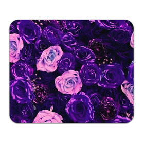 Коврик прямоугольный с принтом Фиолетовые розы в Кировске, натуральный каучук | размер 230 х 185 мм; запечатка лицевой стороны | flower | прикцветочки | розы | цветы