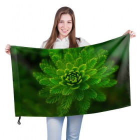 Флаг 3D с принтом Красивое растение в Кировске, 100% полиэстер | плотность ткани — 95 г/м2, размер — 67 х 109 см. Принт наносится с одной стороны | 