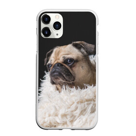 Чехол для iPhone 11 Pro матовый с принтом Мопс в Кировске, Силикон |  | бульдог | мопс | мопсик | мопсы | пес | песик | песики | собака | собаки | собачка