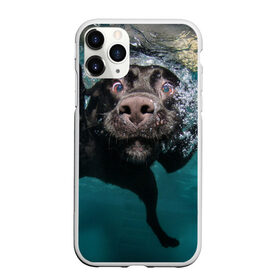 Чехол для iPhone 11 Pro матовый с принтом Пес дайвер в Кировске, Силикон |  | Тематика изображения на принте: вода | гребет | дайвер | животное | купается | лапы | нос | пес | плавец | плывет | под водой | прикольный | пузыри | смешной | собака | щенок