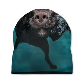 Шапка 3D с принтом Пес дайвер в Кировске, 100% полиэстер | универсальный размер, печать по всей поверхности изделия | вода | гребет | дайвер | животное | купается | лапы | нос | пес | плавец | плывет | под водой | прикольный | пузыри | смешной | собака | щенок