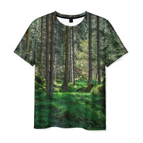 Мужская футболка 3D с принтом Темный лес в Кировске, 100% полиэфир | прямой крой, круглый вырез горловины, длина до линии бедер | Тематика изображения на принте: бор | деревья | ель | ельник | заповедник | камни | красивый | лес | лето | мох | мрачный | прекрасный | природа | флора | чудесный