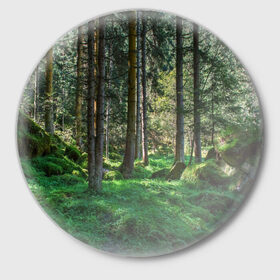 Значок с принтом Темный лес в Кировске,  металл | круглая форма, металлическая застежка в виде булавки | бор | деревья | ель | ельник | заповедник | камни | красивый | лес | лето | мох | мрачный | прекрасный | природа | флора | чудесный