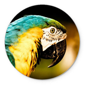 Коврик круглый с принтом Попугай в Кировске, резина и полиэстер | круглая форма, изображение наносится на всю лицевую часть | двое | классный | клюв | красивый | крылья | попугай | попугайчик | птица | птичка | радужный