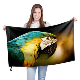 Флаг 3D с принтом Попугай в Кировске, 100% полиэстер | плотность ткани — 95 г/м2, размер — 67 х 109 см. Принт наносится с одной стороны | двое | классный | клюв | красивый | крылья | попугай | попугайчик | птица | птичка | радужный