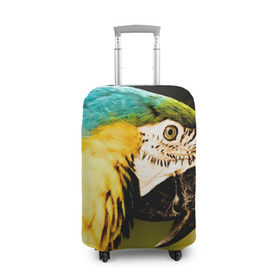Чехол для чемодана 3D с принтом Попугай в Кировске, 86% полиэфир, 14% спандекс | двустороннее нанесение принта, прорези для ручек и колес | двое | классный | клюв | красивый | крылья | попугай | попугайчик | птица | птичка | радужный