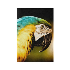 Обложка для паспорта матовая кожа с принтом Попугай в Кировске, натуральная матовая кожа | размер 19,3 х 13,7 см; прозрачные пластиковые крепления | Тематика изображения на принте: двое | классный | клюв | красивый | крылья | попугай | попугайчик | птица | птичка | радужный