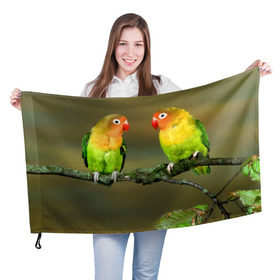 Флаг 3D с принтом Попугаи в Кировске, 100% полиэстер | плотность ткани — 95 г/м2, размер — 67 х 109 см. Принт наносится с одной стороны | двое | классный | клюв | красивый | крылья | попугай | попугайчик | птица | птичка | радужный