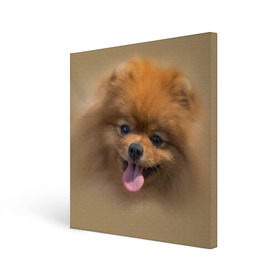 Холст квадратный с принтом Шпиц в Кировске, 100% ПВХ |  | Тематика изображения на принте: shpic | животные | мордочка | пёс | рыжий | собака | собачка | язык