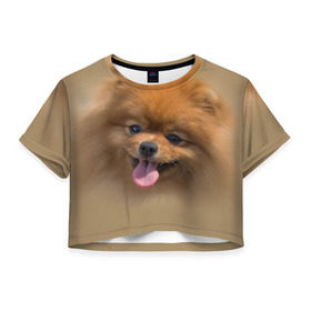 Женская футболка 3D укороченная с принтом Шпиц в Кировске, 100% полиэстер | круглая горловина, длина футболки до линии талии, рукава с отворотами | Тематика изображения на принте: shpic | животные | мордочка | пёс | рыжий | собака | собачка | язык