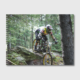 Альбом для рисования с принтом Велоспорт гонка в Кировске, 100% бумага
 | матовая бумага, плотность 200 мг. | Тематика изображения на принте: велик | велосипед | гонка | горы | деревья | железный конь | колесо | лес | лисапед | природа | ровер | спорт | спортсмен | стальной конь | тандем | трицикл | шлем