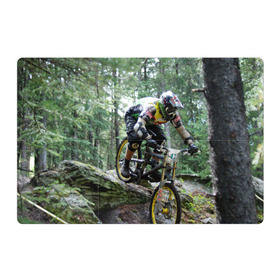 Магнитный плакат 3Х2 с принтом Велоспорт гонка в Кировске, Полимерный материал с магнитным слоем | 6 деталей размером 9*9 см | велик | велосипед | гонка | горы | деревья | железный конь | колесо | лес | лисапед | природа | ровер | спорт | спортсмен | стальной конь | тандем | трицикл | шлем