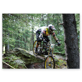 Поздравительная открытка с принтом Велоспорт гонка в Кировске, 100% бумага | плотность бумаги 280 г/м2, матовая, на обратной стороне линовка и место для марки
 | велик | велосипед | гонка | горы | деревья | железный конь | колесо | лес | лисапед | природа | ровер | спорт | спортсмен | стальной конь | тандем | трицикл | шлем