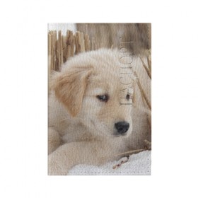 Обложка для паспорта матовая кожа с принтом Щеночек в Кировске, натуральная матовая кожа | размер 19,3 х 13,7 см; прозрачные пластиковые крепления | dog | puppy | собака | щенок | щеночек