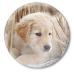 Значок с принтом Щеночек в Кировске,  металл | круглая форма, металлическая застежка в виде булавки | dog | puppy | собака | щенок | щеночек