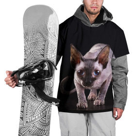 Накидка на куртку 3D с принтом сфинкс в Кировске, 100% полиэстер |  | cat | голубые глаза | кот | котик | котэ | кошка | сфинкс | черный