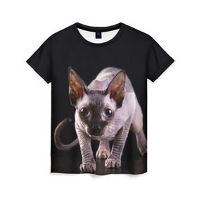 Женская футболка 3D с принтом сфинкс в Кировске, 100% полиэфир ( синтетическое хлопкоподобное полотно) | прямой крой, круглый вырез горловины, длина до линии бедер | cat | голубые глаза | кот | котик | котэ | кошка | сфинкс | черный