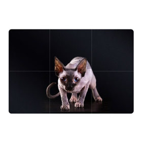 Магнитный плакат 3Х2 с принтом сфинкс в Кировске, Полимерный материал с магнитным слоем | 6 деталей размером 9*9 см | cat | голубые глаза | кот | котик | котэ | кошка | сфинкс | черный