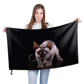 Флаг 3D с принтом сфинкс в Кировске, 100% полиэстер | плотность ткани — 95 г/м2, размер — 67 х 109 см. Принт наносится с одной стороны | cat | голубые глаза | кот | котик | котэ | кошка | сфинкс | черный