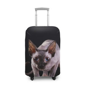Чехол для чемодана 3D с принтом сфинкс в Кировске, 86% полиэфир, 14% спандекс | двустороннее нанесение принта, прорези для ручек и колес | cat | голубые глаза | кот | котик | котэ | кошка | сфинкс | черный