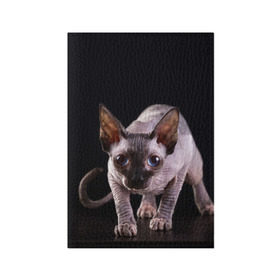 Обложка для паспорта матовая кожа с принтом сфинкс в Кировске, натуральная матовая кожа | размер 19,3 х 13,7 см; прозрачные пластиковые крепления | cat | голубые глаза | кот | котик | котэ | кошка | сфинкс | черный