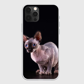 Чехол для iPhone 12 Pro Max с принтом сфинкс в Кировске, Силикон |  | Тематика изображения на принте: взгляд | голубые глаза | киска | кот | котенок | котик | котэ | серый | сфинкс | черный