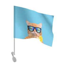 Флаг для автомобиля с принтом котэ на отдыхе в Кировске, 100% полиэстер | Размер: 30*21 см | кот | котик | лето | море | отдых | очки | пальмы | пляж | рыжий кот | солнце