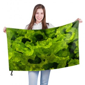 Флаг 3D с принтом Зелень в Кировске, 100% полиэстер | плотность ткани — 95 г/м2, размер — 67 х 109 см. Принт наносится с одной стороны | веган | зеленый | зелень | лето | овощи | салат | солнце | фрукты