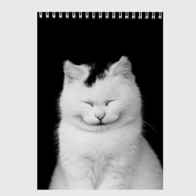 Скетчбук с принтом Smile в Кировске, 100% бумага
 | 48 листов, плотность листов — 100 г/м2, плотность картонной обложки — 250 г/м2. Листы скреплены сверху удобной пружинной спиралью | cat | kitty | животные | киса | кот | котенок | котэ | кошка