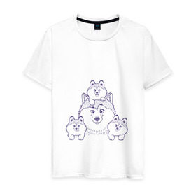Мужская футболка хлопок с принтом Аляскинские маламуты в Кировске, 100% хлопок | прямой крой, круглый вырез горловины, длина до линии бедер, слегка спущенное плечо. | husky | malamute | арт | маламут | собака | хаски