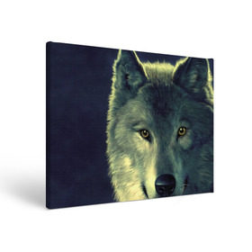 Холст прямоугольный с принтом Серый волк в Кировске, 100% ПВХ |  | аука | бирюк | волк | волчара | волчица | волчок | глаза | животное | животные | зверь | зеленые | койот | млекопитающее | нос | санитар леса | серый | уши | фауна | фон | хищник | черный | шакал | шерсть