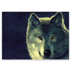 Поздравительная открытка с принтом Серый волк в Кировске, 100% бумага | плотность бумаги 280 г/м2, матовая, на обратной стороне линовка и место для марки
 | аука | бирюк | волк | волчара | волчица | волчок | глаза | животное | животные | зверь | зеленые | койот | млекопитающее | нос | санитар леса | серый | уши | фауна | фон | хищник | черный | шакал | шерсть