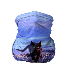 Бандана-труба 3D с принтом Пляж в Кировске, 100% полиэстер, ткань с особыми свойствами — Activecool | плотность 150‒180 г/м2; хорошо тянется, но сохраняет форму | cat | kitty | животные | киса | кот | котенок | котэ | кошка