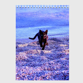 Скетчбук с принтом Пляж в Кировске, 100% бумага
 | 48 листов, плотность листов — 100 г/м2, плотность картонной обложки — 250 г/м2. Листы скреплены сверху удобной пружинной спиралью | cat | kitty | животные | киса | кот | котенок | котэ | кошка
