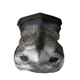 Бандана-труба 3D с принтом Хаски в Кировске, 100% полиэстер, ткань с особыми свойствами — Activecool | плотность 150‒180 г/м2; хорошо тянется, но сохраняет форму | волк | маламут | собака | хаски | щенок