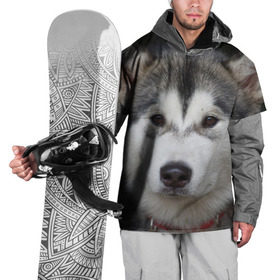 Накидка на куртку 3D с принтом Хаски в Кировске, 100% полиэстер |  | волк | маламут | собака | хаски | щенок